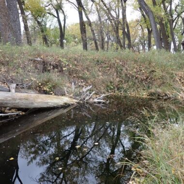 Autumn pool on a western Nebraska stream. Photo by Daryl Bauer, Nebraska Game & Parks Commission.