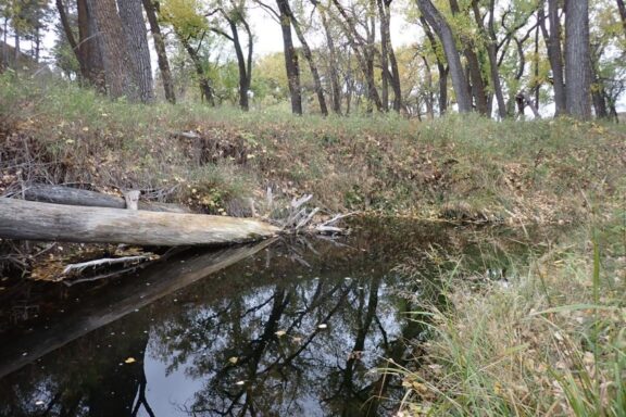 Autumn pool on a western Nebraska stream. Photo by Daryl Bauer, Nebraska Game & Parks Commission.