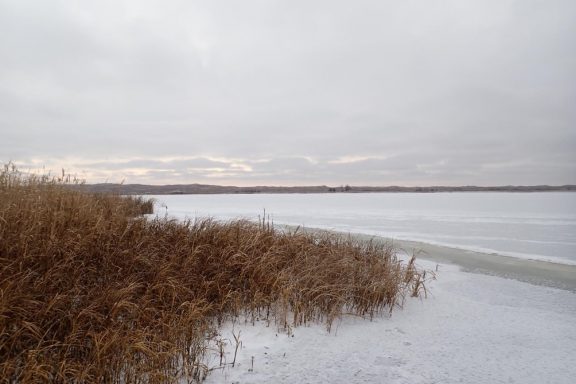 Newly frozen Nebraska sandhill lake. Photo by Daryl Bauer, Nebraska Game & Parks Commission.
