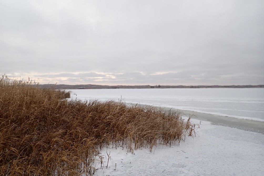 Newly frozen Nebraska sandhill lake.  Photo by Daryl Bauer, Nebraska Game & Parks Commission.
