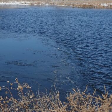 Ice just starting to freeze on a Nebraska pond. Photo by Daryl Bauer, Nebraska Game & Parks Commission.
