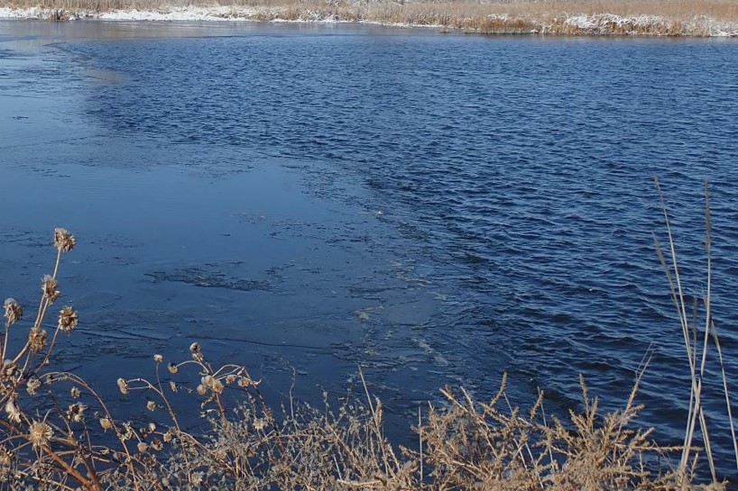 Ice just starting to freeze on a Nebraska pond. Photo by Daryl Bauer, Nebraska Game & Parks Commission.