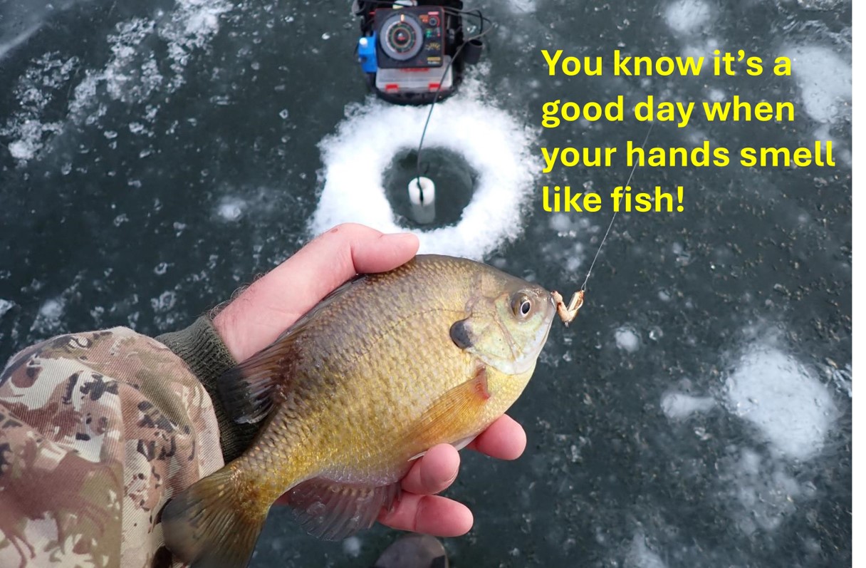 "Good day when hands smell like fish", bluegill in hand of ice angler.  Photo by Daryl Bauer, Nebraska Game & Parks Commission.