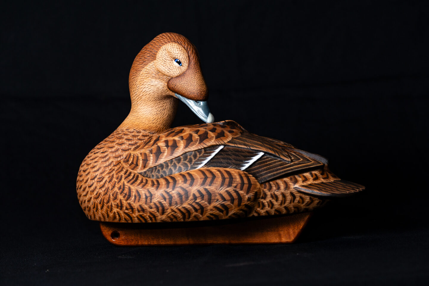While many of his carvings end up on the mantel, Christie mostly competes in categories where his birds, such as this spectacled eider hen, are judged on the water.