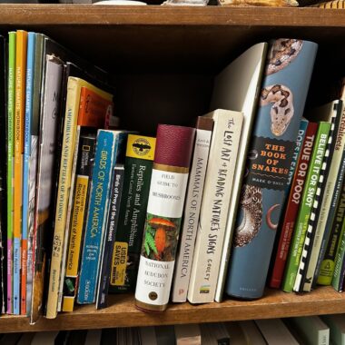 Nature books on a bookshelf.