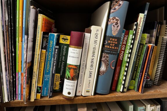 Nature books on a bookshelf.
