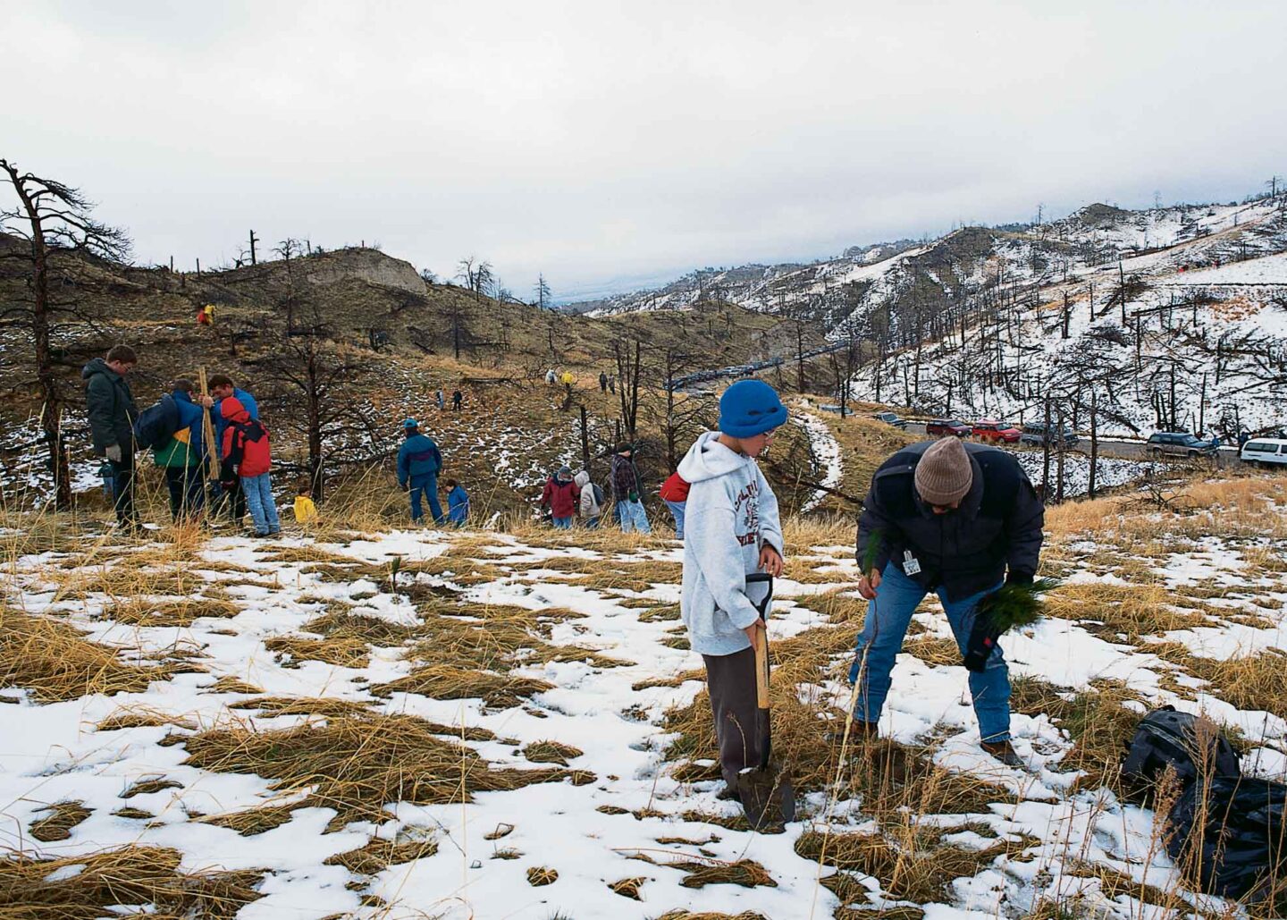 These scouts are planting trees in Smiley Canyon at Fort Robinson State Park.