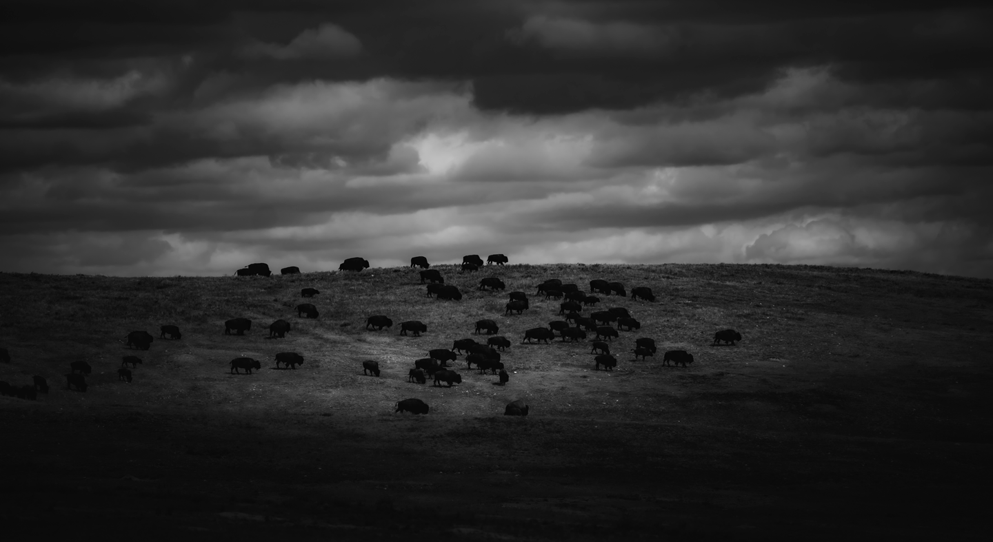 FIRST PLACE — Meridian, Cherry County
Rex DeBord, Chadron