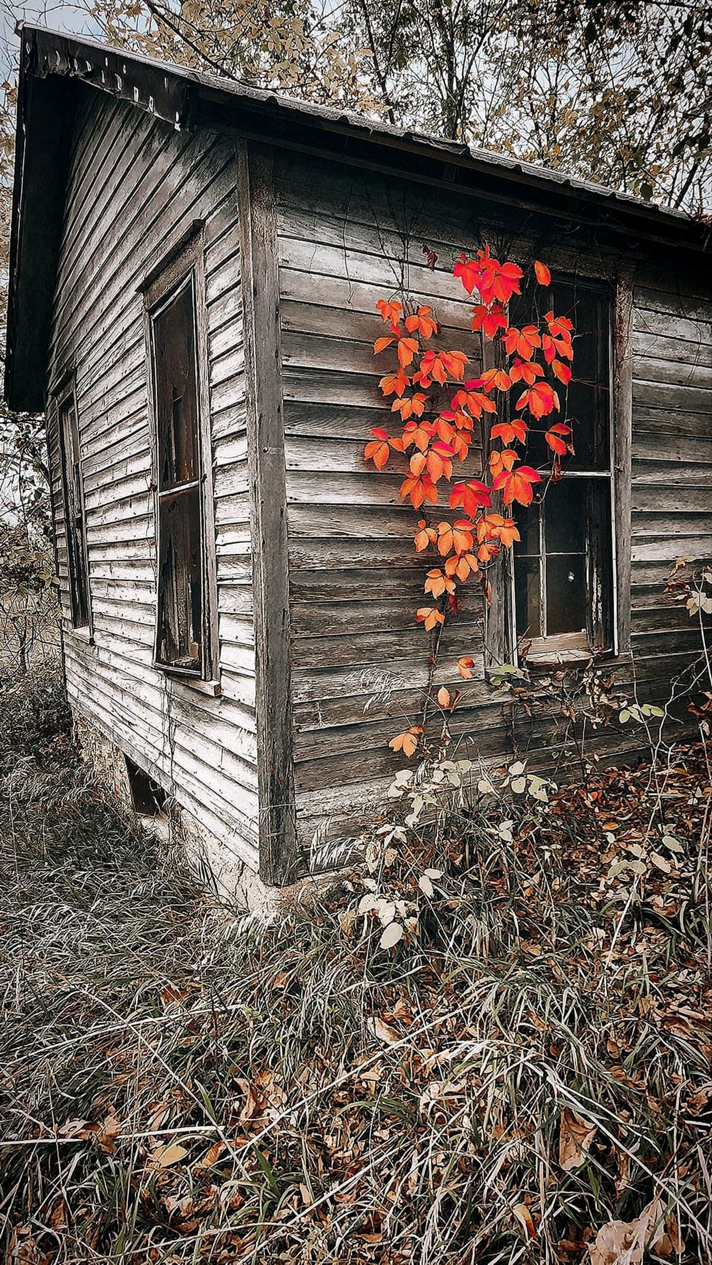 Still Life in Swedeburg,
Saunders County
Colette Rathke, Wahoo