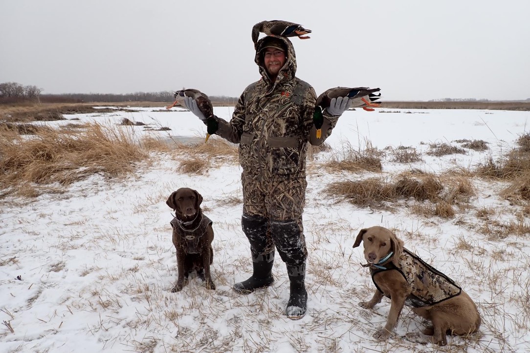 Hunter posing with three mallards and hunting dogs. Photo by Daryl Bauer, Nebraska Game & Parks Commission.