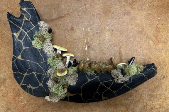 Bone art made from the jaw of an animal.
