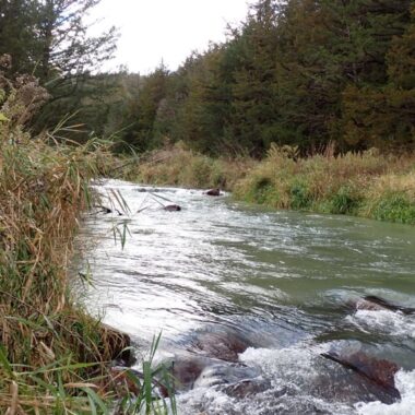 View of a Nebraska coldwater stream. Photo by Daryl Bauer, Nebraska Game & Parks Commission.