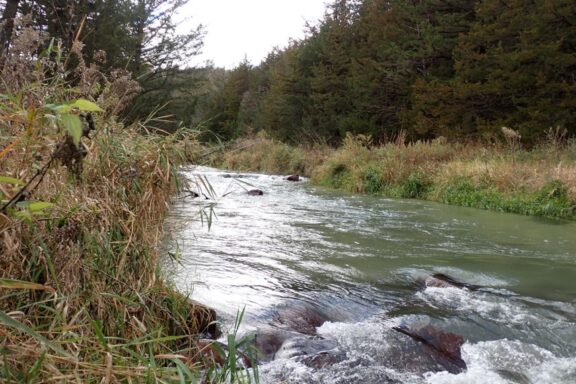 View of a Nebraska coldwater stream. Photo by Daryl Bauer, Nebraska Game & Parks Commission.