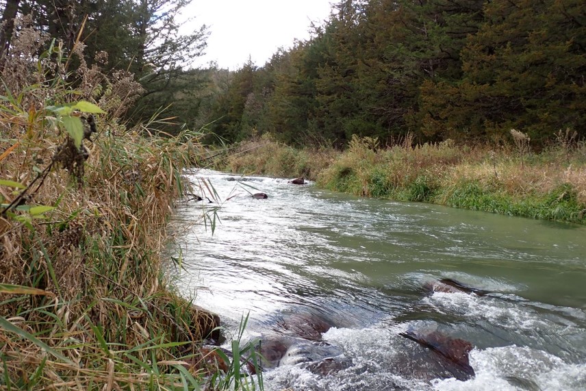 View of a Nebraska coldwater stream.  Photo by Daryl Bauer, Nebraska Game & Parks Commission.