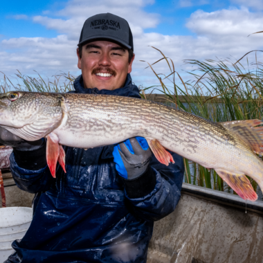 The northern pike is a sport fish that knows how to make a splash.