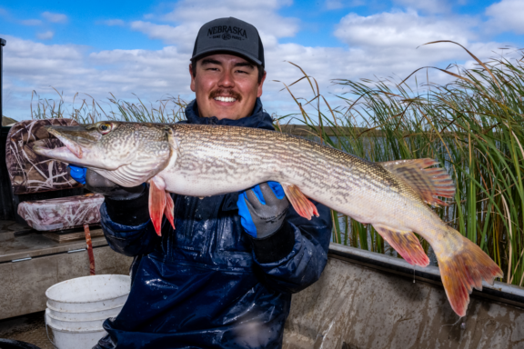 The northern pike is a sport fish that knows how to make a splash.