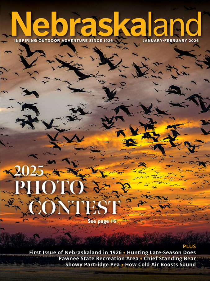 View Jan.-Feb. 2026 Issue