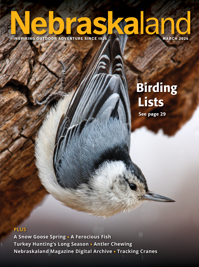 View March 2026 Issue