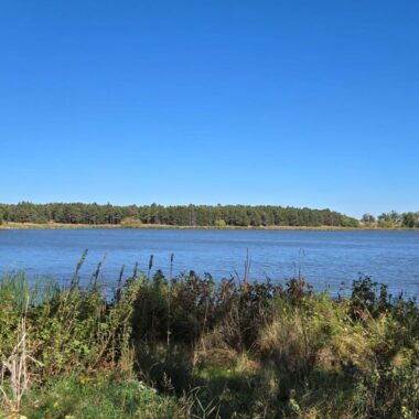 Smith Lake WMA, Nebraska viewed looking east.