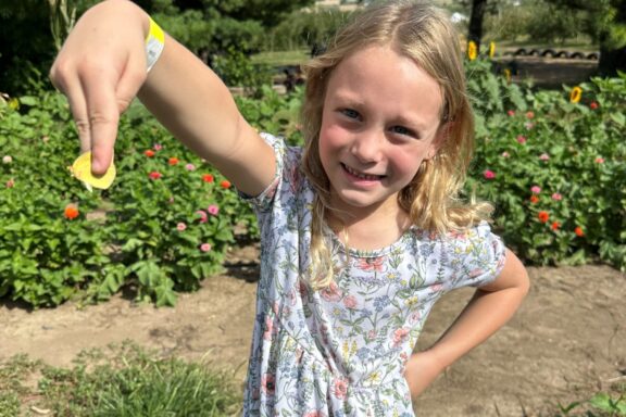 The author's daughter completed a bumble bee survey with her last year and has since been catching flying creatures every chance she gets.