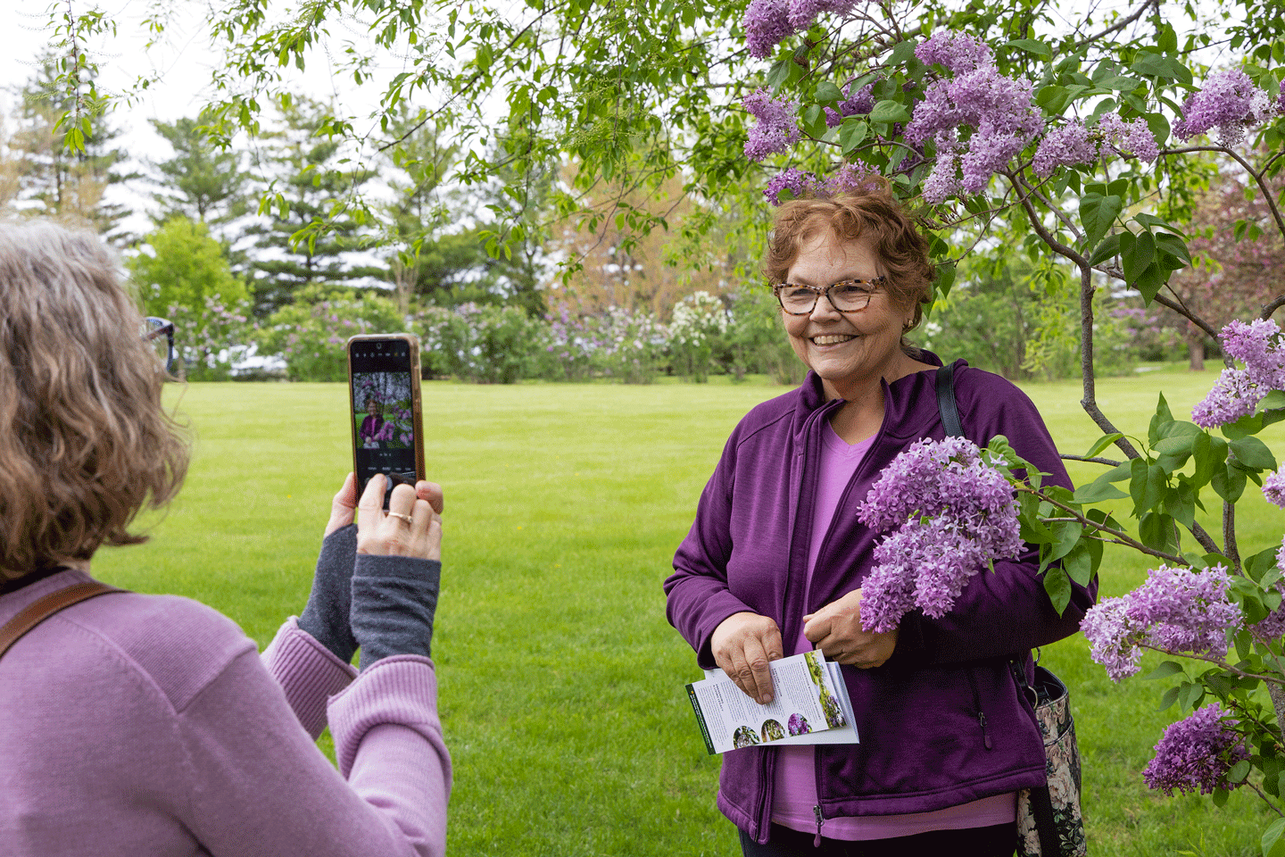 a woman in purple stands among purple flowers
