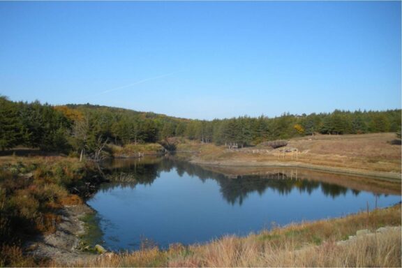 Niobrara State Park Pond viewed from dam.