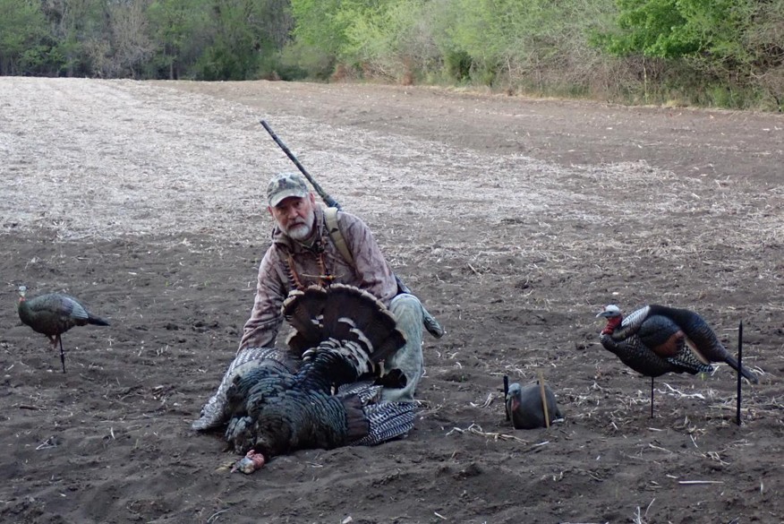 Hunter with turkey, posed with decoys.  Photo by Daryl Bauer, Nebraska Game & Parks Commission.