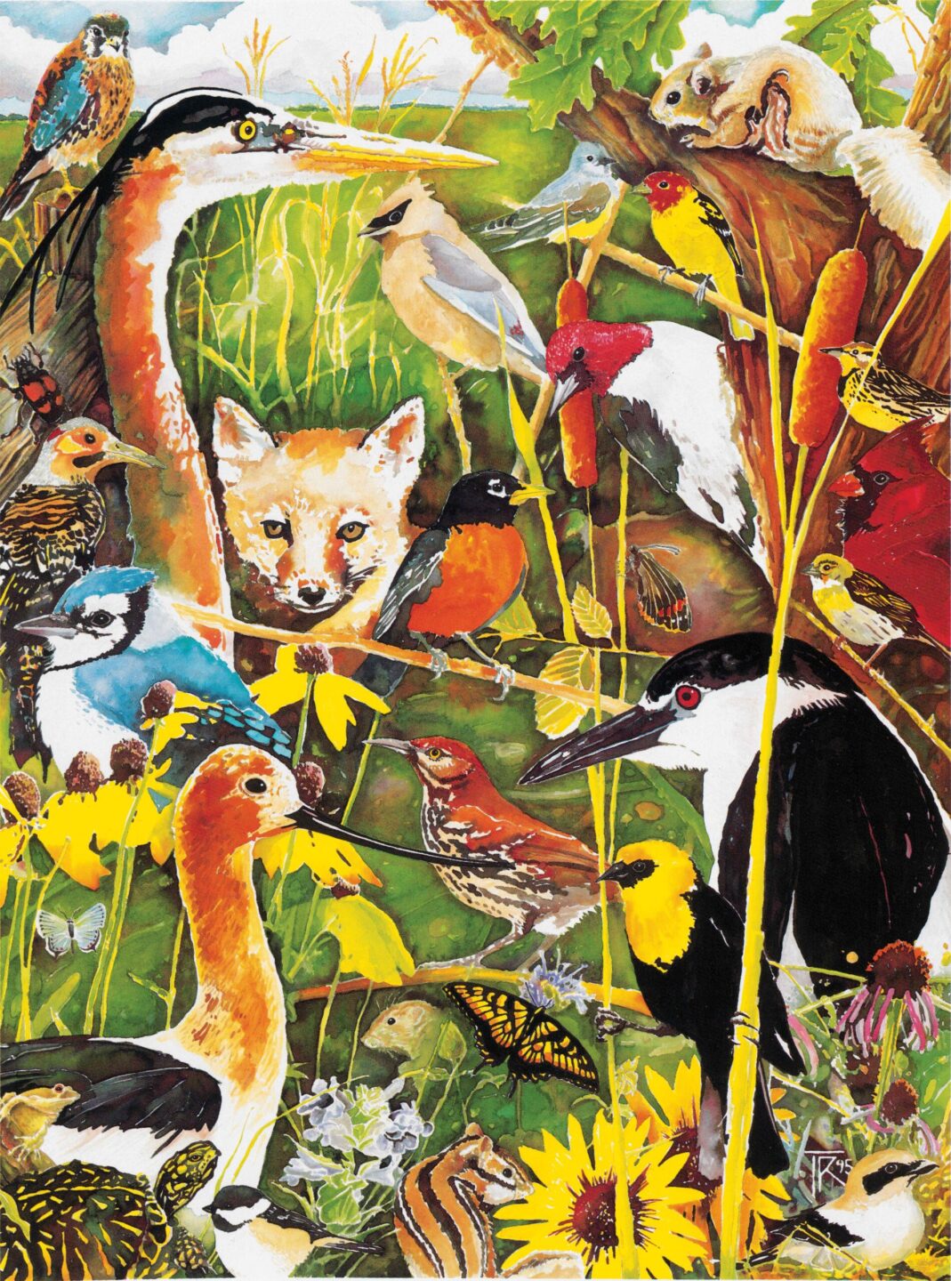 Watercolor and ink artwork for the “Teaming with Wildlife” poster to promote an excise tax on equipment to help fund wildlife efforts.