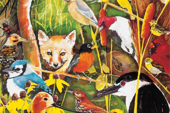 Watercolor and ink artwork for the “Teaming with Wildlife” poster to promote an excise tax on equipment to help fund wildlife efforts.