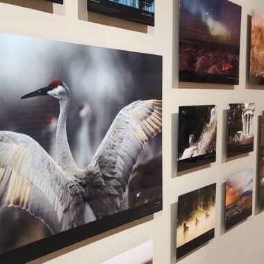Nebraskaland Durham Museum exhibit.