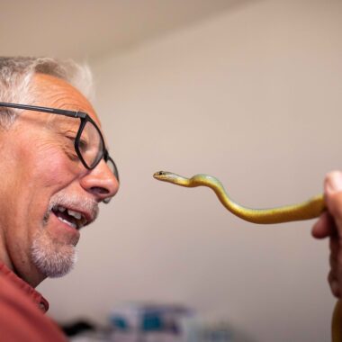 Herpetologist Dennis Ferraro.