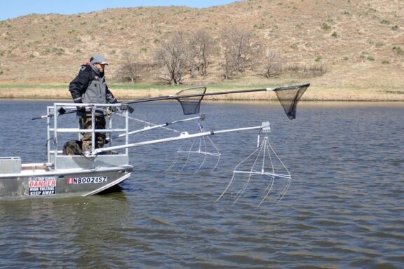 Fisheries biologists on the front of an electrofishing boat.