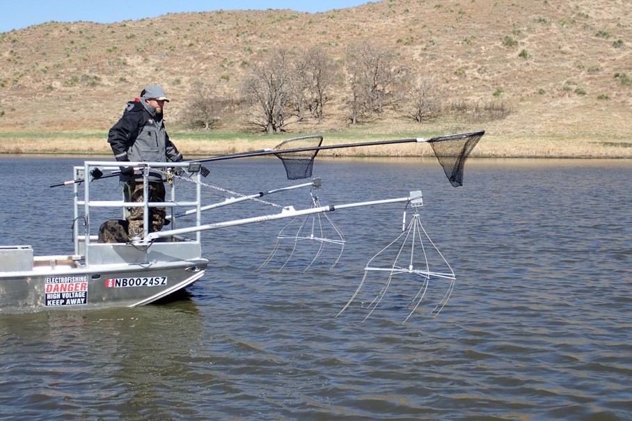 Fisheries biologists on the front of an electrofishing boat.