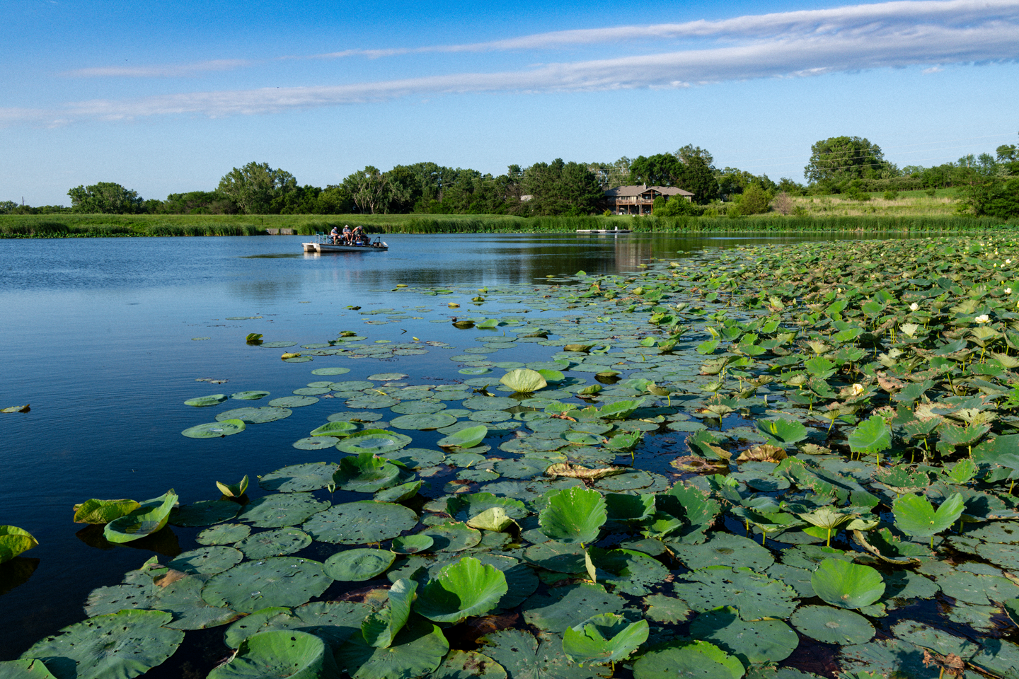 A group of men fishing from a boat on a pond.