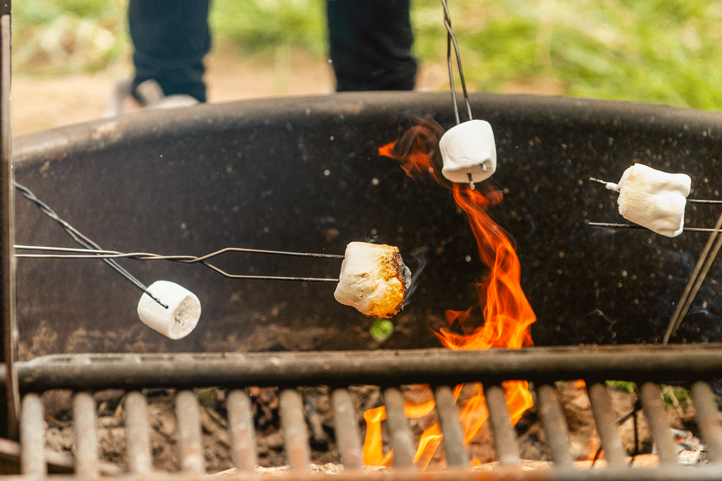 Marshmallow char above a campfire flame