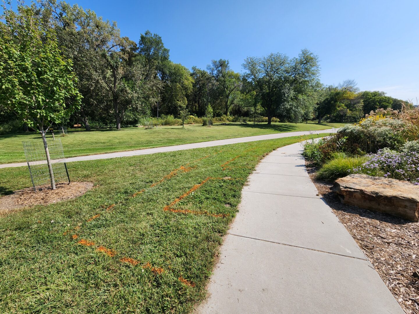 Mark out new garden beds with string, spray paint or landscape flags.