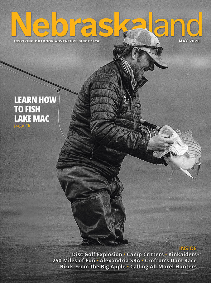 View May 2026 Issue