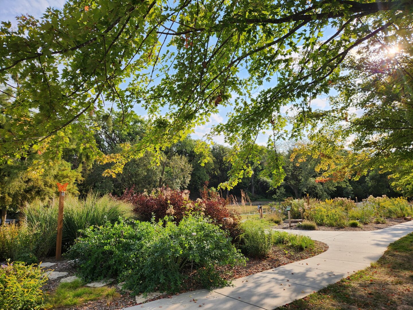 Pollinator Gardens At Schramm Park State Recreation Area, Late Summer