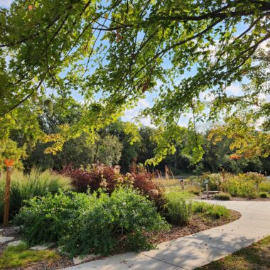 Pollinator Gardens At Schramm Park State Recreation Area, Late Summer