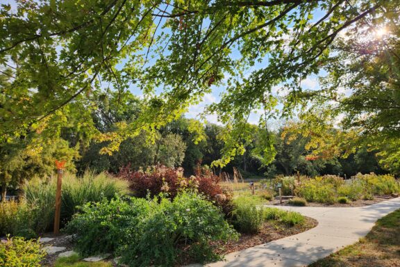 Pollinator Gardens At Schramm Park State Recreation Area, Late Summer