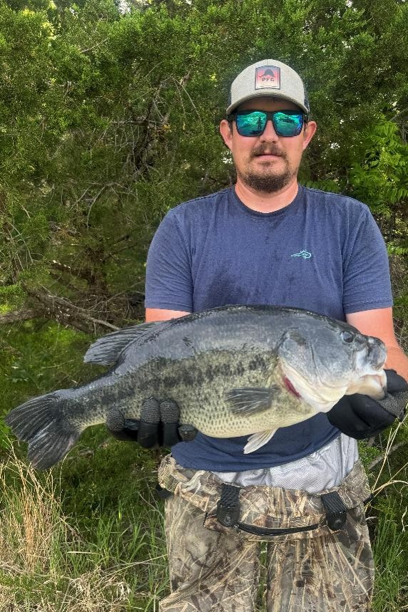 Largemouth bass collected during sampling this spring.