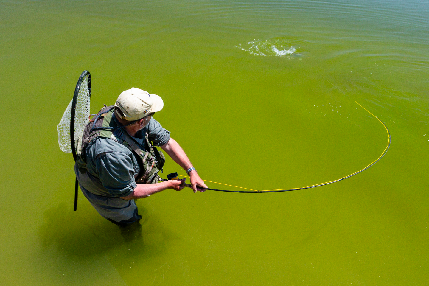 Algae blooms can act as a mudline, activating a shallow bite.