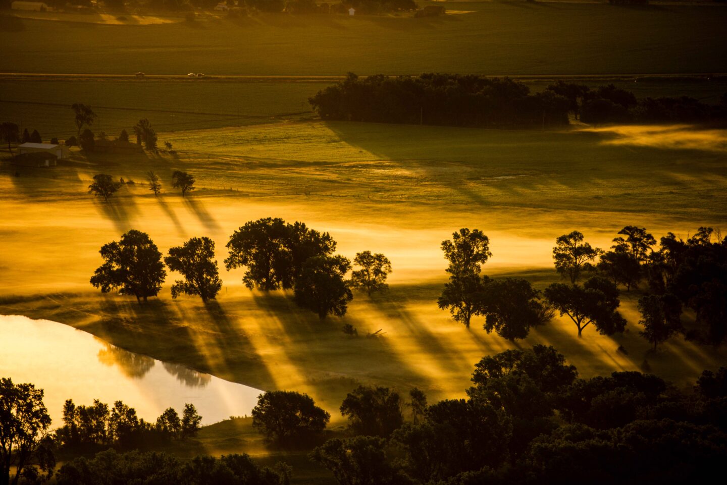 Sunrise illuminates the fog in a meadow along the Platte River in Douglas County.