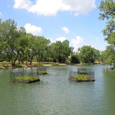 Floating vegetation mats installed at Windmill SRA pit #6.