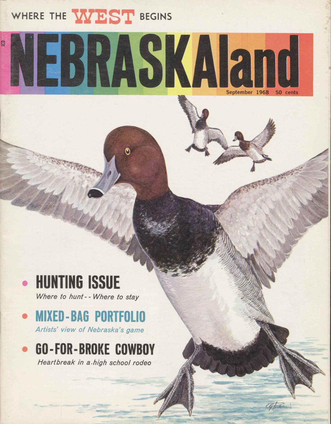 1968 cover of Nebraskaland Magazine showing illustration of redhead ducks coming into land.