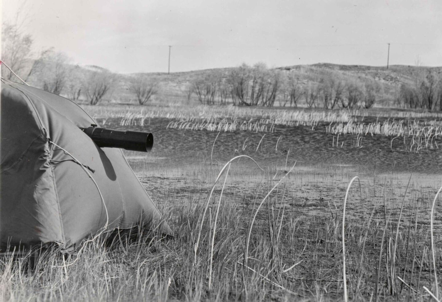 Gene Hornbeck turned the camera on his photo blind and new 500mm Nikkor lens in 1963.