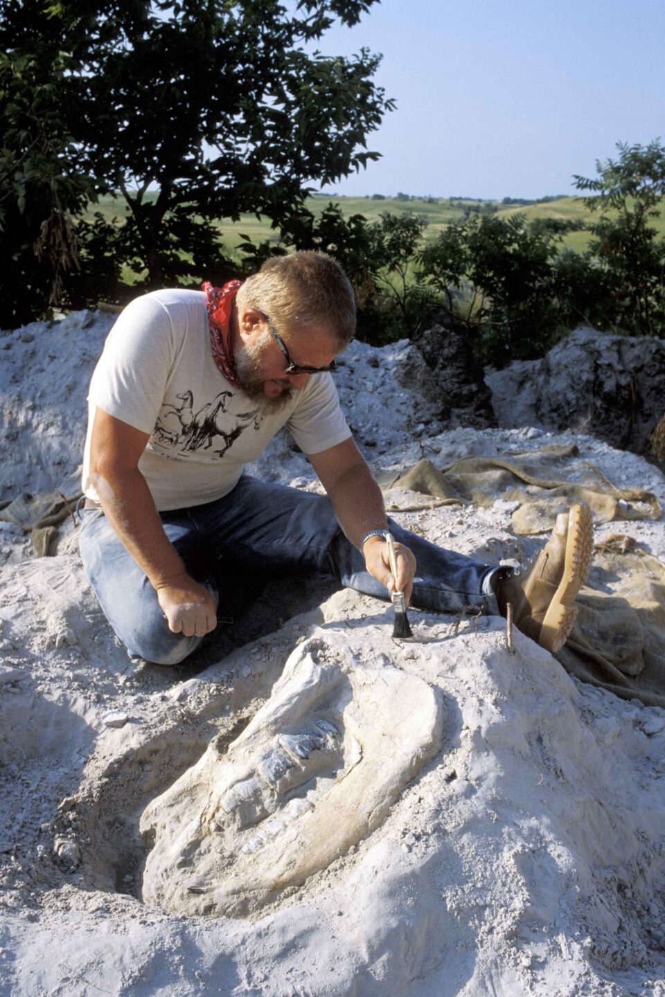 Paleontologist Mike Voorhies carefully brushes volcanic ash off a prehistoric rhinoceros fossil at Ashfall Fossil Beds, 1987.