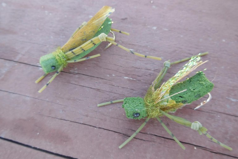 Foam 'hoppers. Before and after catching many trout. Daryl Bauer photo, Nebraska Game & Parks Commission.