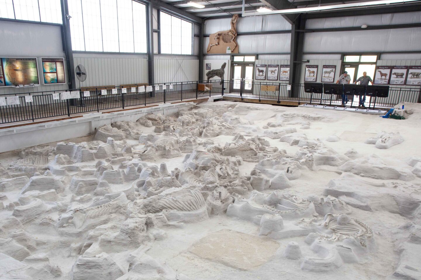 The fossil beds are now enclosed in the Hubbard Rhino Barn, as shown here in 2012, protected from the elements and still an active dig site.  