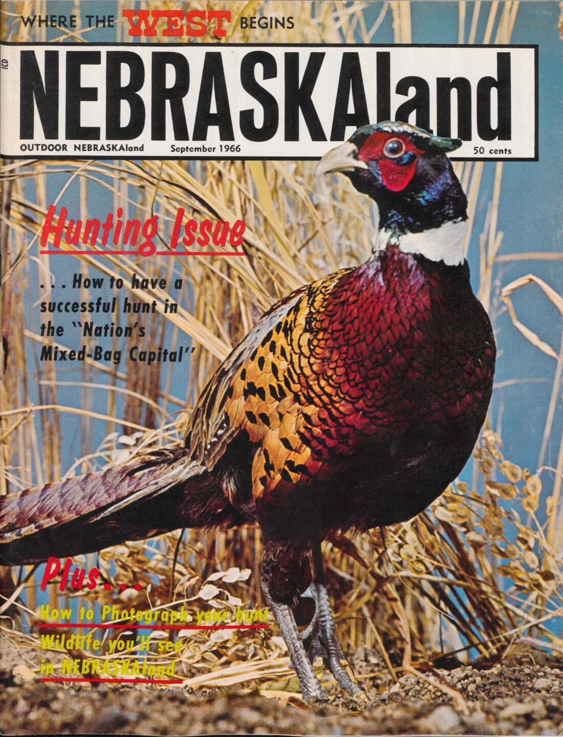 Gene Hornbeck photographed a mounted pheasant in the studio for the September 1966 cover.